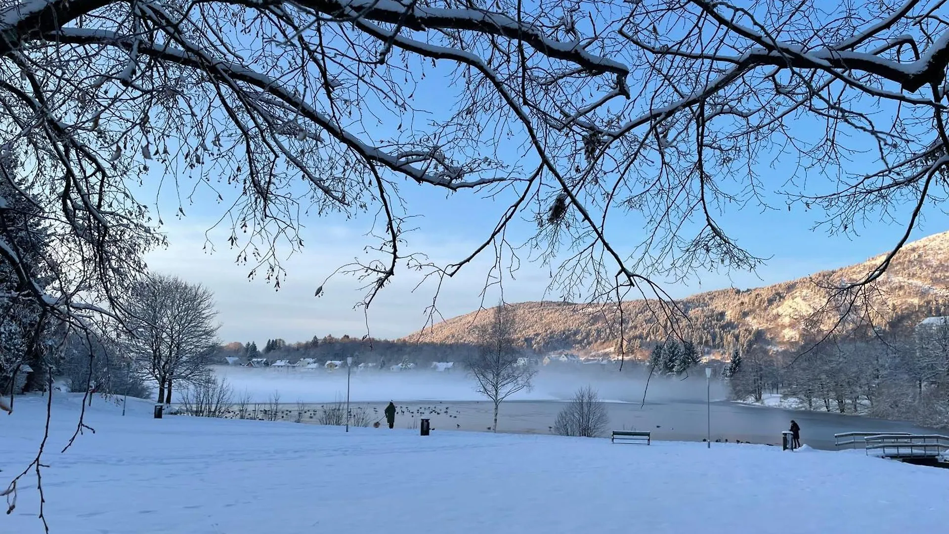 3 Sleeping Rooms For 82M2 Which Direct Traffic To Airport And City Center Bergen Apartment