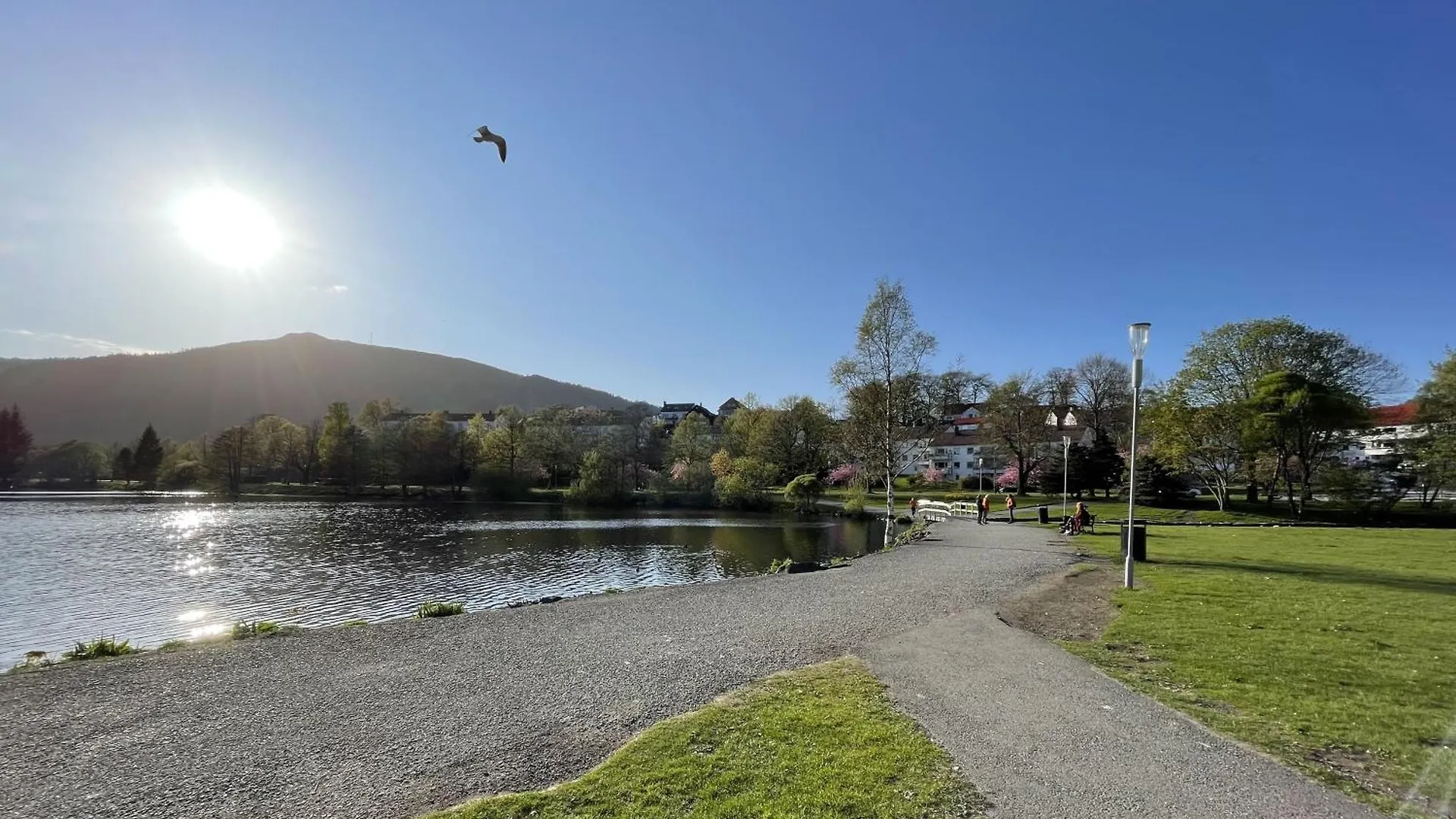 3 Sleeping Rooms For 82M2 Which Direct Traffic To Airport And City Center Bergen Apartment